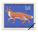 AJMcl(wFVulpes vulpes)