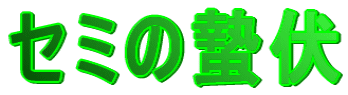 Z~孕