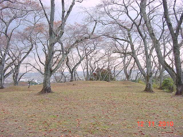 岩切城本丸跡写真