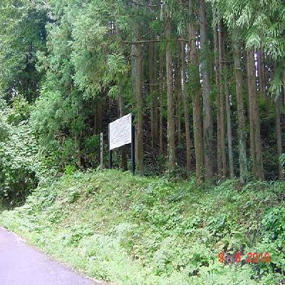 宮沢城祉写真