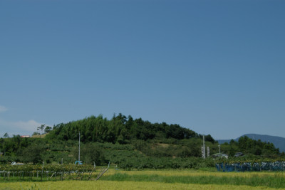 高子岡城址（遠景）