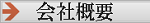 ЊTv