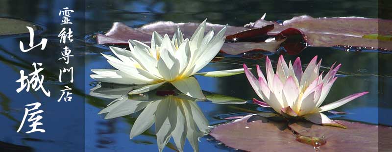 ���P���E�X�s���`���A���E�쎋�E�^���Ӓ�E�肢�E���P���E�^���Ӓ�E���k�E����E��쓙�A���s�E���E�_�˂ȂǋߋE�E�֐���~���疼�É��E�����E�L���E�����E�D�y�ȂǊe�n��v�s�s�ȂǑS����~�ɏo���E��\�͎҂Ƃ��Ċ�����