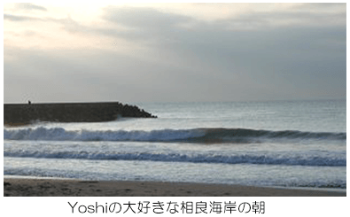 相良海岸