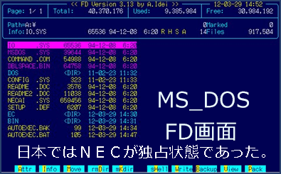 MS_DOS