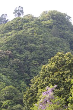 厳しい山肌