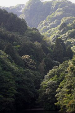 厳しい山肌2