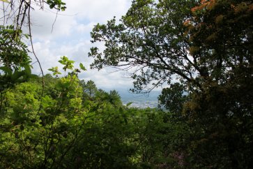 山頂からの北面