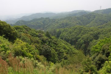 山頂からの南面