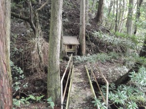 炩
