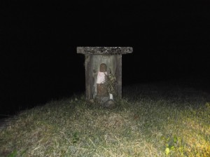 Ȃɂ킩炸