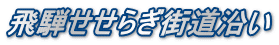 飛騨せせらぎ街道沿い