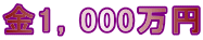 金1，000万円