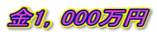 金1,000万円