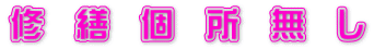 修　繕　個　所　無　し