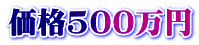価格500万円