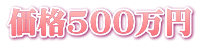 価格500万円
