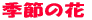 G߂̉