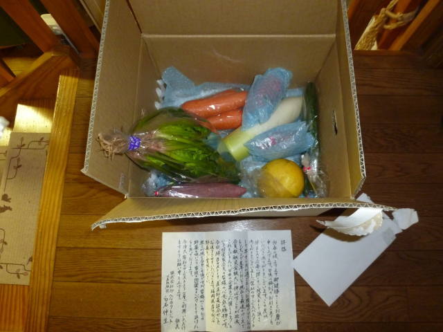 ソーシャルレンディングのみんなのクレジットから送られてきた(投資した際のプレゼント)絆Boxの中身は福岡産直野菜詰め合わせ
