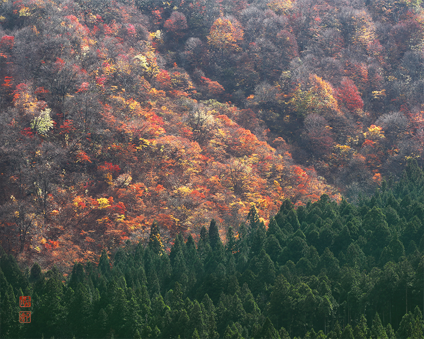 山間の秋