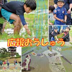 6.26 広報おうしゅう７月号：表紙は田んぼアート