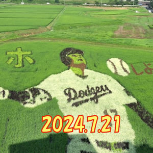 2024年/野球しようぜ!