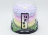 盆-6-菊丸