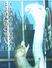 ł͂xB