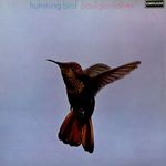 P.Gonsalves-Humming Bird