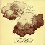 Ricotti & Albuquerque-First Wind