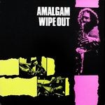 Amalgam-Wipe Out