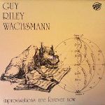 B.Guy, etc.-Improvisations Are Forever Now