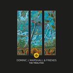 D.J.Marshall & Friends-Triolithic