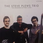 S.Plews Trio-The Importance Of What Is Not