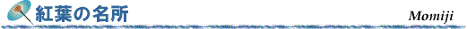 gt̖̃^Cg