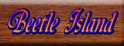 Beetle Island