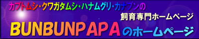 BUNBUNPAPA
