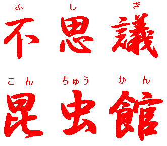 不思議昆虫館