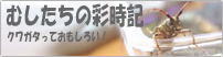 むしたちの彩時記