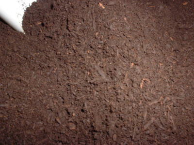 �}�b�g�̊g��