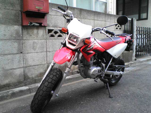 XR50Motard