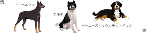 [LOAC[W