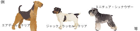 eAAC[W