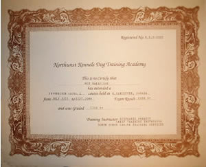 Instructor Level 2C