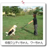 WfBAN[
