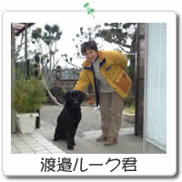 n糃[N