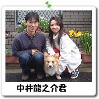 䗴VN