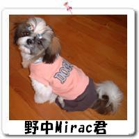 쒆MiracN