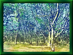 絵画「樹林公園」