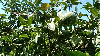 IMG_20190914_113747